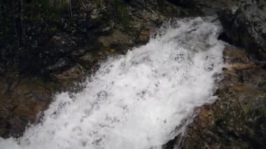 Ormandaki kayaların üzerinde akan bir dereye yakın çekim.