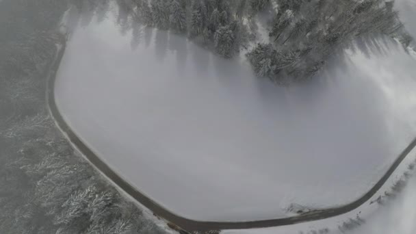 Uma Vista Aérea Estrada Cercada Por Árvores Cobertas Neve Eslovénia — Vídeo de Stock