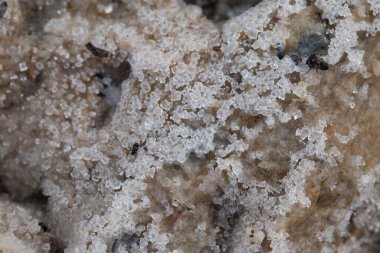 Sahilde kristal tuz kabuğuyla kaplı dikey bir kum görüntüsü.