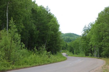 Yazın kırsal bir yol.