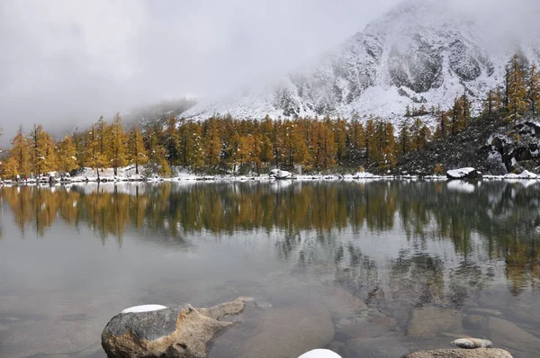 Bela Paisagem Com Lago Árvores Amarelas Costa Contra Encosta Montanha — Fotografia de Stock