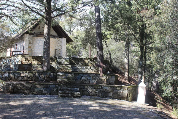 Bir parkta küçük bir inşaata çıkan bir merdiven.