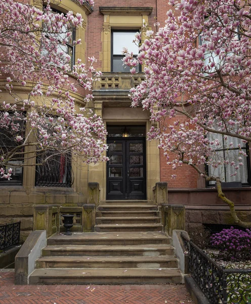 麻萨诸塞州波士顿湾的一座垂直的建筑物被春天的花朵环绕着 — 图库照片