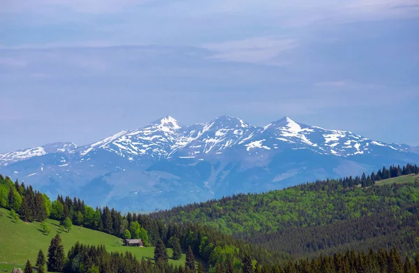 Landschaft Der Calimani Berge Mit Schneebedecktem Gipfel Frühling Natur — Stockfoto