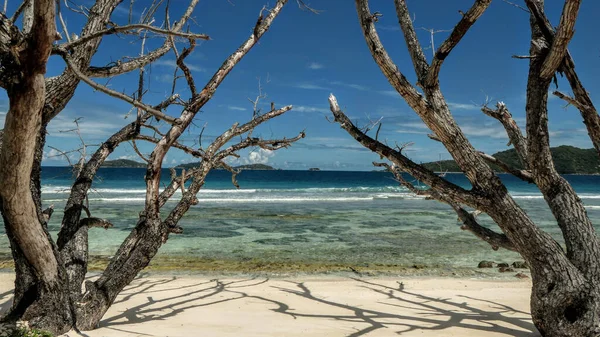 Sahil Şeridinin Güzel Bir Görüntüsü Seyşeller Deki Anse Banane Plajındaki — Stok fotoğraf