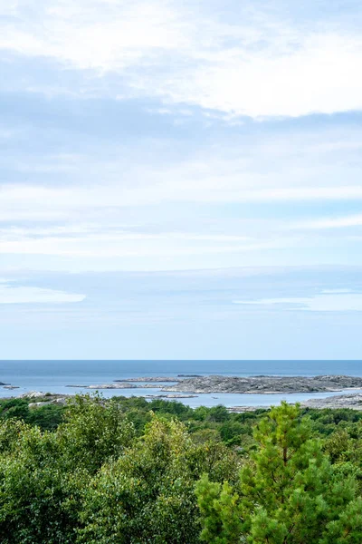 Colpo Verticale Una Bella Foresta Vicino Mare Svezia — Foto Stock