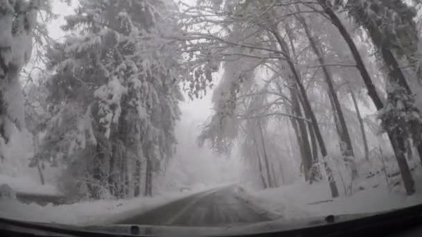 Зимовий Вид Дорогу Оточенні Засніженого Лісу Переднього Вітрового Скла Автомобіля — стокове відео