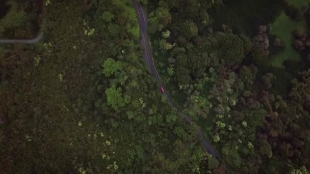 Top View Rural Road Bright Green Forests Hill Hawaii Maui — Stock Video