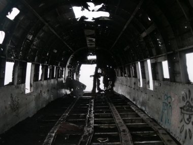 İzlanda 'da gri tonda terk edilmiş eski bir uçağın manzarası