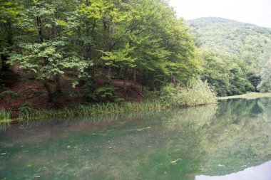 Sırbistan 'da Grza Gölü ve Grza Nehri