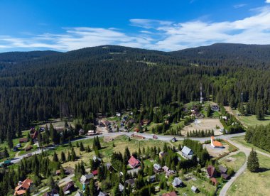 Romanya 'nın dağları ile Harghita İlçesinden Bucin Geçidi' nin yanındaki ağaçlı evlerin insansız hava aracı görüntüleri
