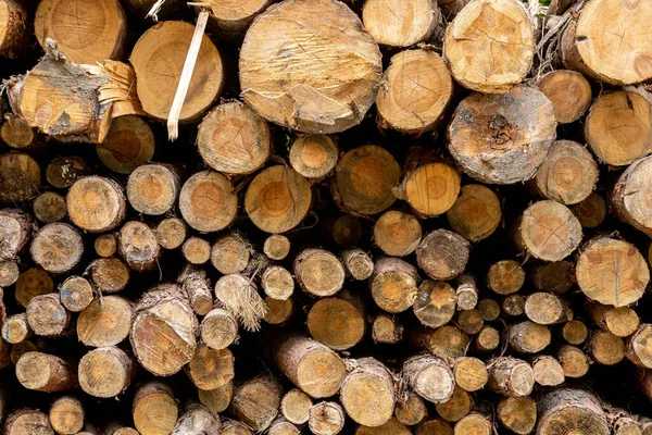 Doğal ahşap arka plan, yakın plan kesilmiş yakacak odun.
