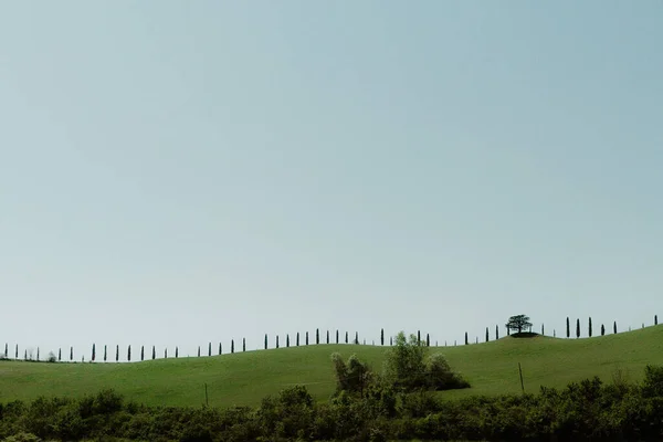 Beautiful View Green Field Tuscany Cypress Farmhouse Sunny Day — Stock Photo, Image