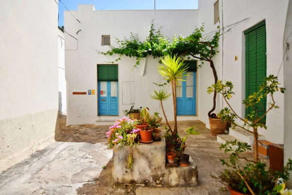 Narrow Street Old Houses Presicce Picturesque Village Province Lecce Italy — Fotografia de Stock