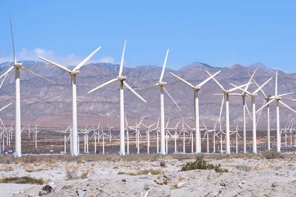 Natural View Wind Turbines Vast Field Mountain Landscape Clear Sky — Stock Photo, Image