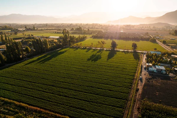 Colpo Aereo Campo Agricolo Contro Sole Luminoso All Orizzonte — Foto Stock