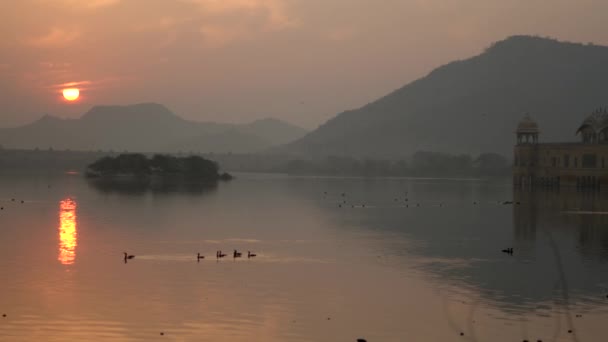 Solen Går Upp Jal Mahal Rajasthan Indien Fåglar Som Flyger — Stockvideo