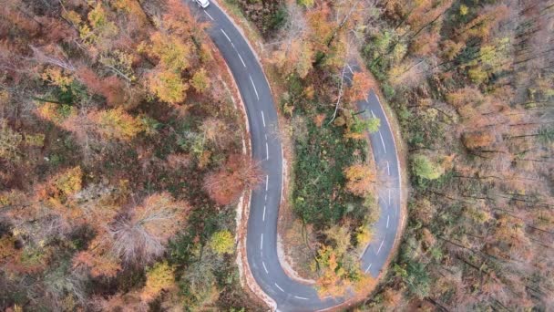 Uma Vista Aérea Estrada Curvilínea Que Passa Pela Floresta Outono — Vídeo de Stock