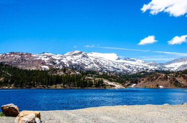 Ormana ve karla kaplı arka planlara karşı sakin bir sahil manzarası