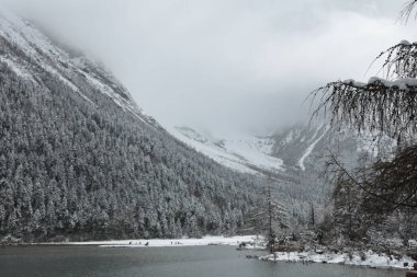 Yoğun karla kaplı ağaçlarla çevrili güzel bir göl manzarası