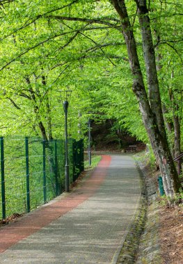 Romanya, yeşil, ilkbahar