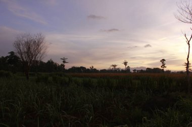 Dağlarda gün doğumunun güzel bir görüntüsü