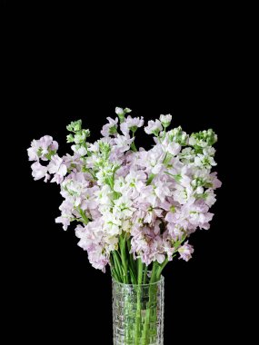 Koyu bir arka planda izole edilmiş cam vazodaki parlak çiçek buketinin dikey görüntüsü.