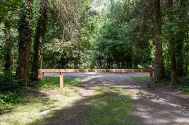 Mayıs 'ta Macaristan' ın Zalaegerszeg kentinde Azaleas Vadisi (Azaleas Volgy)