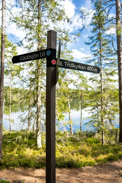 Знак Лесу Швеции Солнечный День — стоковое фото