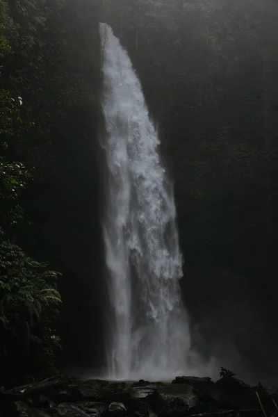 Potente Cascata Tropicale Foresta Tropicale Cascata Cascata Nungnung Bali Indonesia — Foto Stock