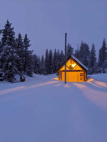 美国猛犸山雪原上一座灯火通明的小屋 夜间有树 一张垂直的照片 — 图库照片