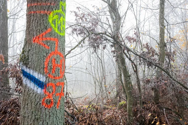 Baum Mit Markierung Nebligen Wald Winter — Stockfoto