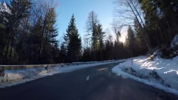 Road Snowy Forests Mountainous Area — Stock Video
