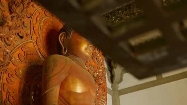 Buddhova Socha Chrámovém Údolí Honolulu Havaji — Stock video