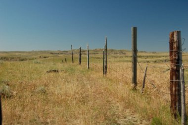 Montana 'daki Hell Creek Düzeni