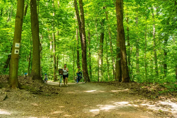 Une Femme Avec Deux Enfants Vélo Dans Une Forêt — Photo