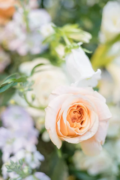 花束の中に美しい光桃の花の選択的フォーカスショット — ストック写真