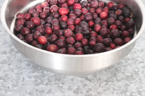 Closeup Frutas Indianas Sherbet Berry Phalsa Uma Tigela Aço — Fotografia de Stock