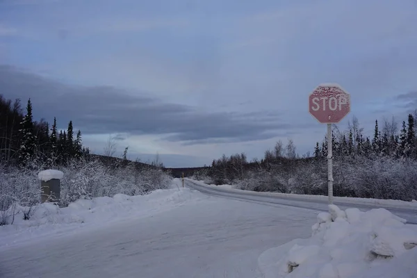 Vacker Utsikt Över Väg Snöig Skog Alaska — Stockfoto