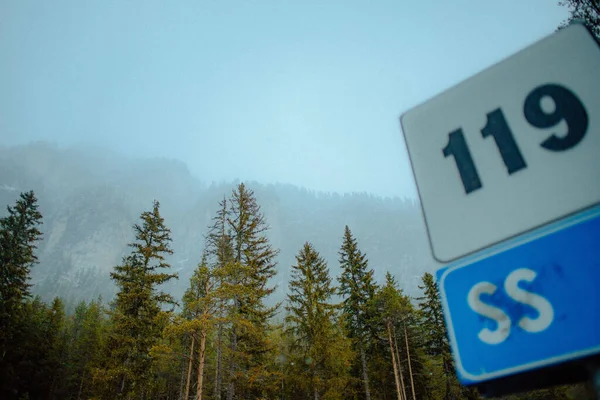 Природный Вид Сосновый Лес Туманный День Дорожным Знаком Переднем Плане — стоковое фото