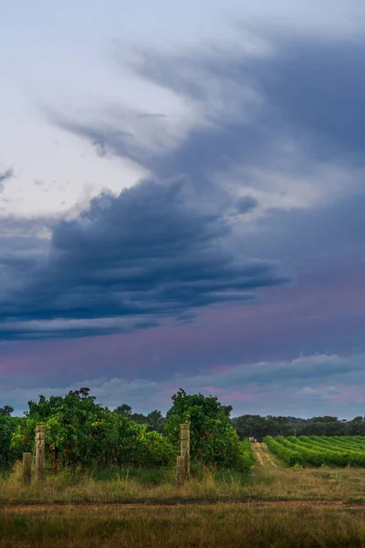 農地の上の美しい曇り空の垂直ショット — ストック写真