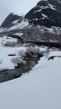 Nehirli bir kış manzarasının ters dönmüş dikey görüntüsü.