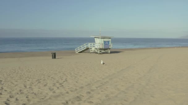 Drönare Lyfter Vid Stranden Santa Monica Med Badvakt Kalifornien Usa — Stockvideo