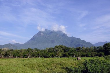 Tayland 'daki Doi Chiang Dao dağının güzel bir fotoğrafı.