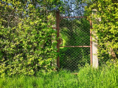 Yüksek çitlerdeki yeşil vahşi bahçeye erişim