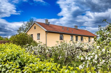 Elma ağaçları çiçek açmış Kongsgarden Çiftliği Bygdoy Oslo Norveç