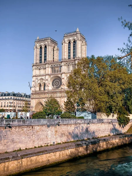 フランスの晴れた日にセーヌ川から見たノートルダム パリの垂直ショット — ストック写真