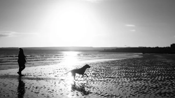 Grayscale Shot Dog Playing Its Owner Beach — Stock Photo, Image