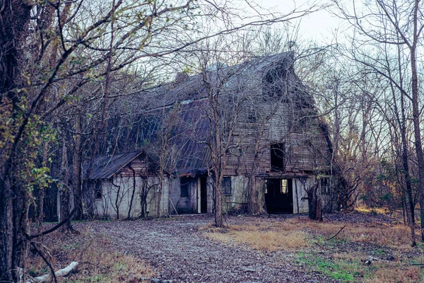 Vue Une Maison Abandonnée Dans Forêt — Photo