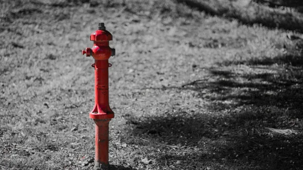 Pop Cor Hidrante Fogo Vermelho Fundo Campo Escala Cinza — Fotografia de Stock